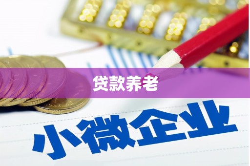 西平贷款养老