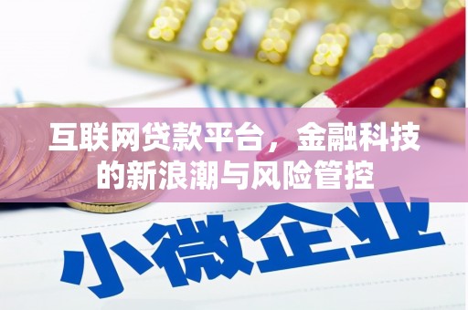 西平互联网贷款平台，金融科技的新浪潮与风险管控