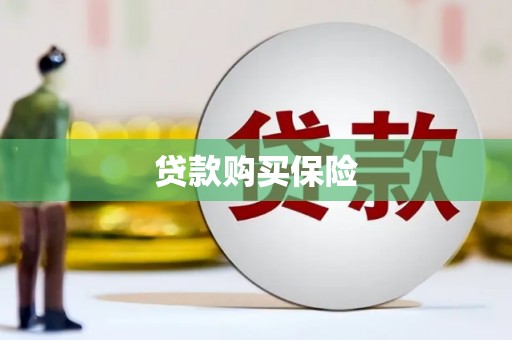 西平贷款购买保险