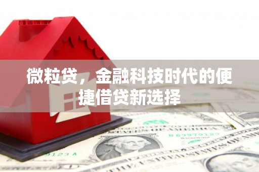 西平微粒贷，金融科技时代的便捷借贷新选择