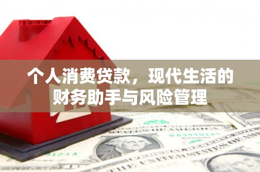 西平个人消费贷款，现代生活的财务助手与风险管理