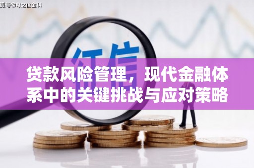 西平贷款风险管理，现代金融体系中的关键挑战与应对策略