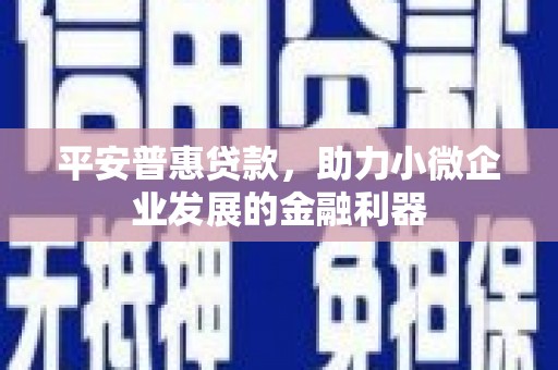 西平平安普惠贷款，助力小微企业发展的金融利器
