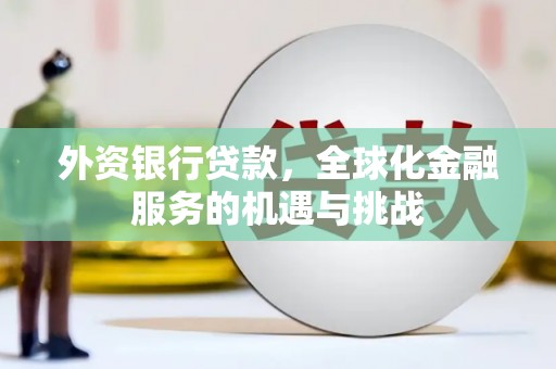 西平外资银行贷款，全球化金融服务的机遇与挑战