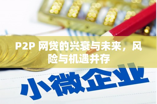 西平P2P 网贷的兴衰与未来，风险与机遇并存