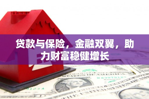西平贷款与保险，金融双翼，助力财富稳健增长