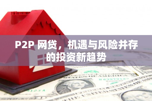 西平P2P 网贷，机遇与风险并存的投资新趋势