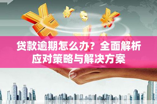 西平贷款逾期怎么办？全面解析应对策略与解决方案