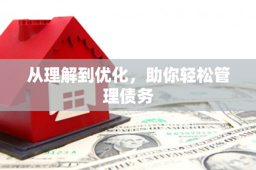 西平从理解到优化，助你轻松管理债务