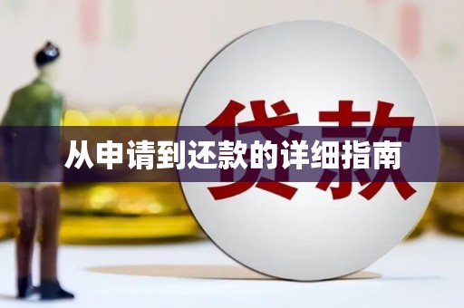 西平从申请到还款的详细指南