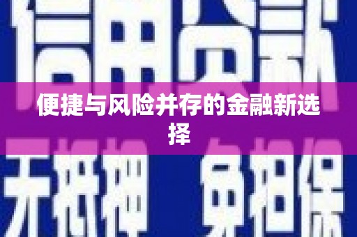 西平便捷与风险并存的金融新选择