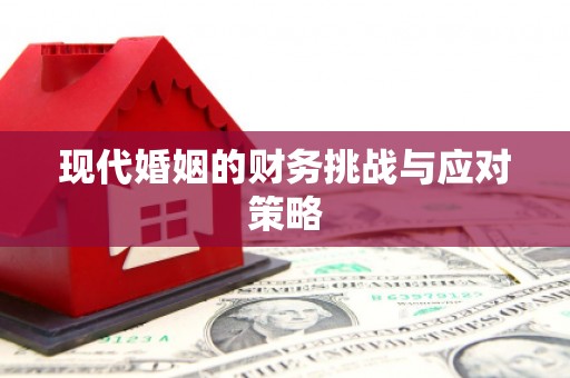 西平现代婚姻的财务挑战与应对策略