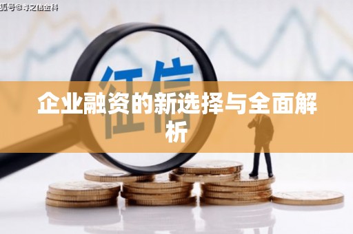 西平企业融资的新选择与全面解析