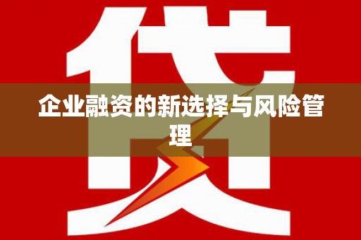 西平企业融资的新选择与风险管理