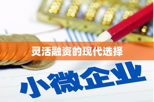 西平灵活融资的现代选择