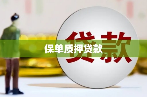 西平保单质押贷款