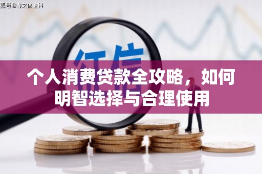 西平个人消费贷款全攻略，如何明智选择与合理使用