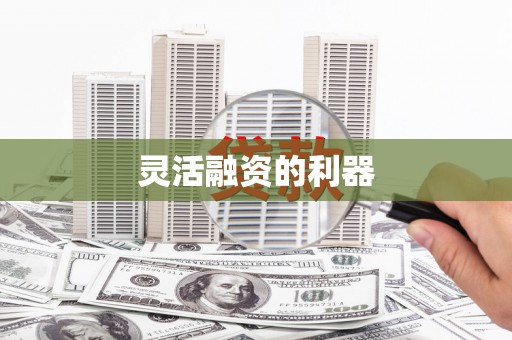西平灵活融资的利器