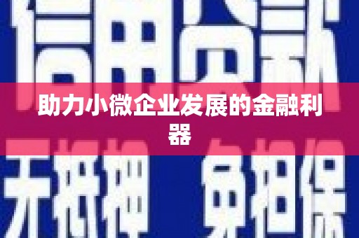 西平助力小微企业发展的金融利器