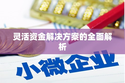 西平灵活资金解决方案的全面解析