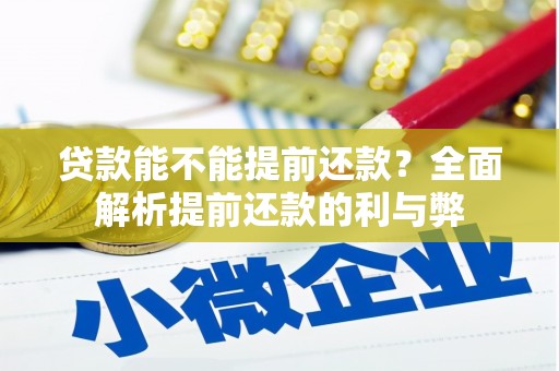 西平贷款能不能提前还款？全面解析提前还款的利与弊