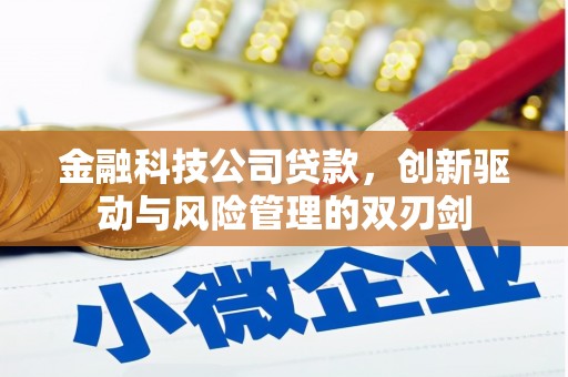 西平金融科技公司贷款，创新驱动与风险管理的双刃剑