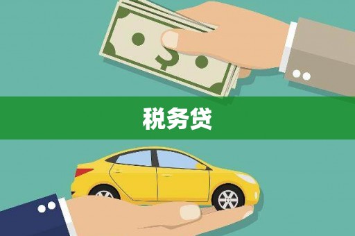 西平税务贷